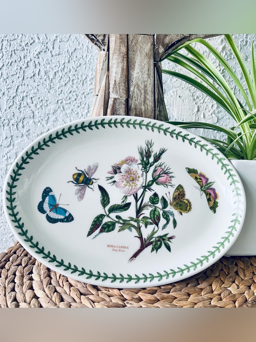 Botanic Garden by PORTMEIRION 10” Oval Steak Plate Dog Rose ROSA CANINA